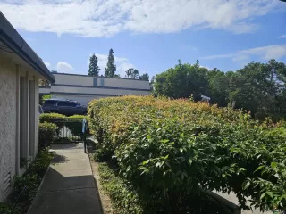 Photo #5: 260010807 Listing 