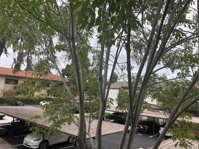 MLS: 260010838 Condo For Sale