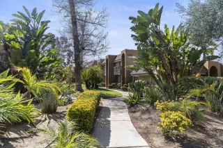Photo #1: 260010990 Listing 