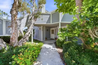 Photo #1: 260011040 Listing 