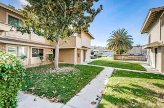 Primary Photo for MLS#: 260011053