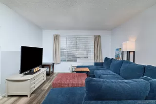 Photo #6: 260011299 Listing 