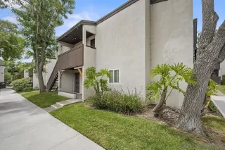Photo #1: 260011332 Listing
