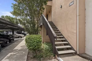 Photo #1: 260011333 Listing 