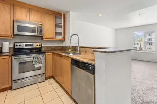 Photo #2: 260011492 Listing