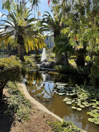 Photo #2: 260011599 Listing 