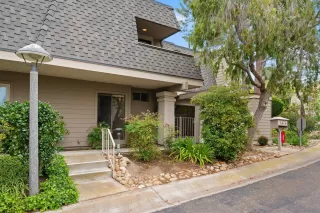 Photo #1: 260011669 Listing 