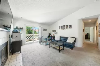 Photo #1: 260011791 Listing