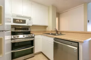 Photo #1: 260011822 Listing 