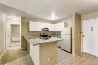 Photo #5: 260011824 Listing 