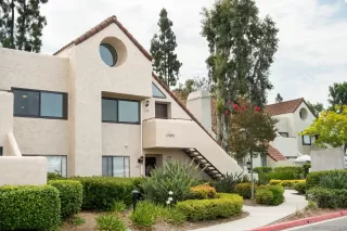Photo #1: 260011900 Listing 
