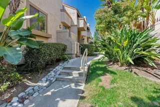 Photo #2: 260011922 Listing 