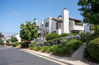 Photo #1: 260012022 Listing