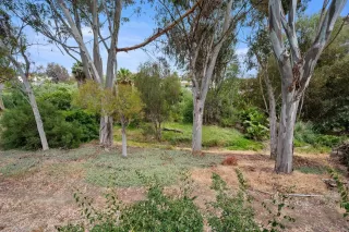 Photo #6: 260012083 Listing