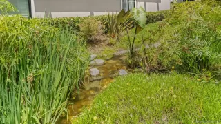 Photo #4: 260012092 Listing