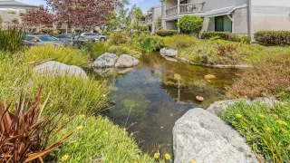 Photo #5: 260012092 Listing