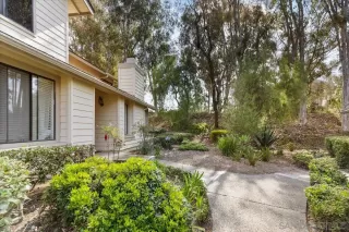 Photo #1: 260012250 Listing