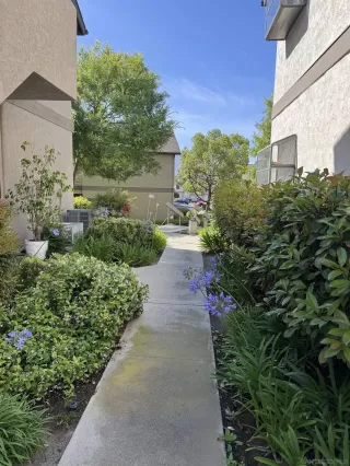 Photo #2: 260012463 Listing