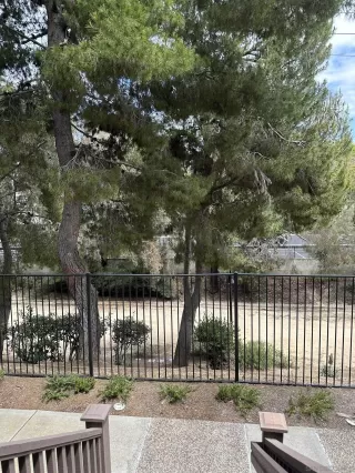Photo #5: 260012562 Listing