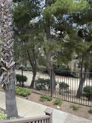 Photo #6: 260012562 Listing