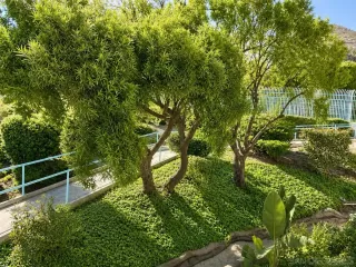 Photo #3: 260012582 Listing