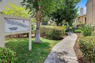 Photo #1: 260012625 Listing