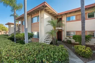 Photo #2: 260012665 Listing