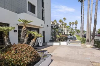 Photo #3: 260012718 Listing