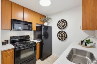 Photo #4: 260012810 Listing