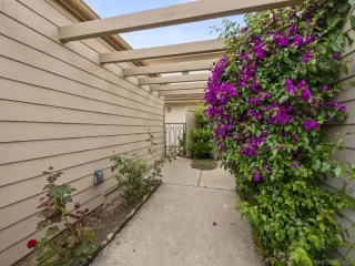 Photo #2: 260012826 Listing