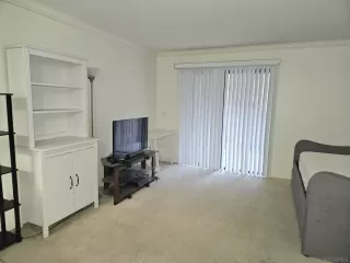 Photo #2: 260012855 Listing