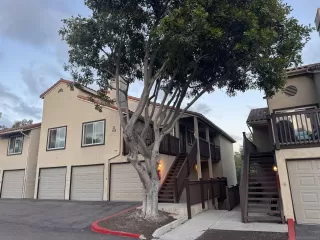 Photo #3: 260013012 Listing