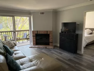Photo #1: 260013444 Listing 