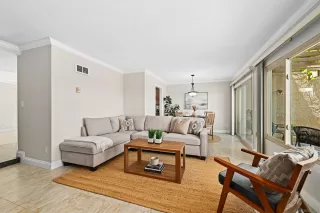 Photo #1: 260013511 Listing 