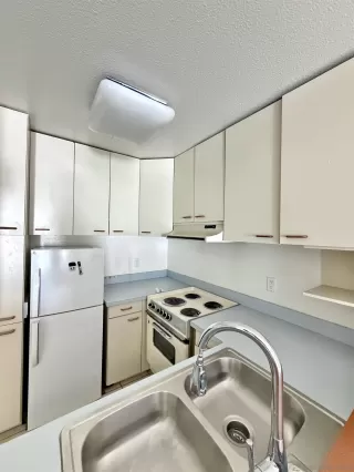 Photo #4: 260013575 Listing 