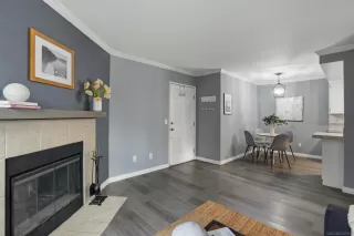 Photo #5: 260013604 Listing 