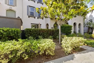 Photo #1: 260013723 Listing 