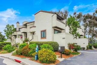 Photo #1: 260013747 Listing 