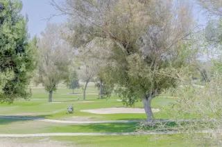 Browse active condo listings in SAN CARLOS GREENS