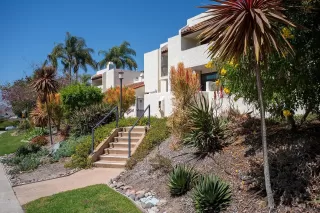 Photo #2: 260013999 Listing
