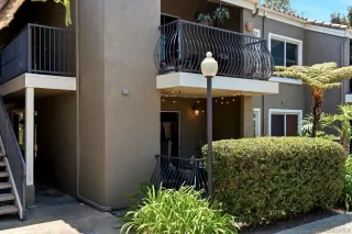 Photo #1: 260014194 Listing