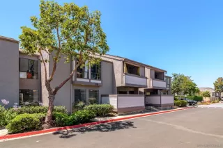 Photo #2: 260014239 Listing
