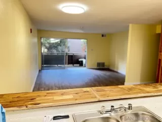 Photo #3: 260014253 Listing
