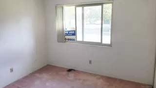 Photo #5: 260014463 Listing