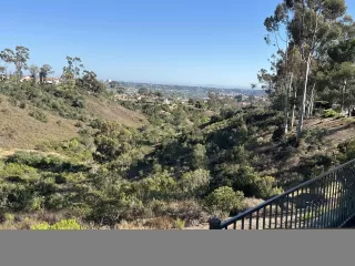 Photo #6: 260014523 Listing
