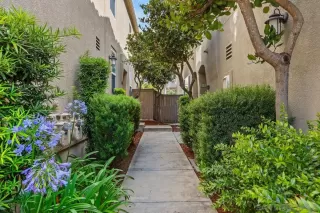 Photo #1: 260014723 Listing