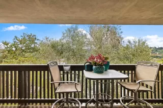 Photo #1: 260014847 Listing 
