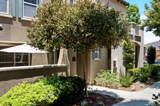 Photo #1: 260014934 Listing 