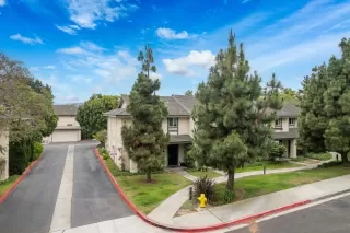 Photo #1: 260015118 Listing 