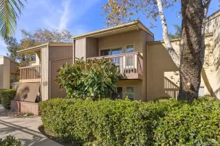 Photo #1: 260015243 Listing
